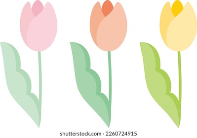 Pink, orange and yellow tulips