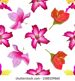 Pink Orchid. Pink Adenium. Pink Magnolia. Red Amaryllis. Vector illustration. Seamless background pattern. Floral botanical flower. Wild leaf wildflower isolated. Exotic tropical hawaiian jungle.