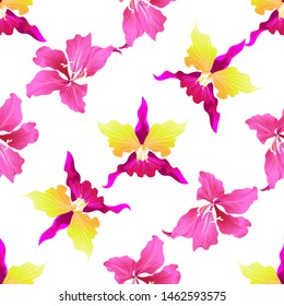 Pink Orchid. Pink Bauhinia Purpurea. Vector illustration. Seamless background pattern. Floral botanical flower. Wild leaf wildflower isolated. Exotic tropical hawaiian jungle. Fabric wallpaper print.