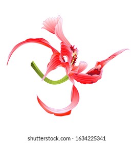 Pink orchid Dendrobium nobile spotted  pink  and white tropical flower  on a white background  watercolor vintage vector illustration  editable hand draw 