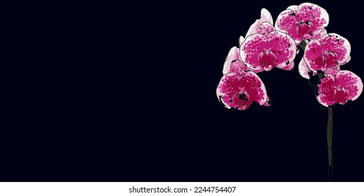vector floral de orquídeas rosa para fondos, cubiertas de obras gráficas