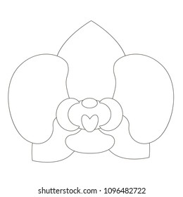 pink orchid flower head cartoon. Colorless outlined illustration with thin line black stroke