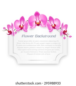 Pink Orchid Flowers with Celebration Frame Isolated on White Background