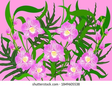 Pink orchid flowers and monstera leaves on pink background. Seamless floral pattern