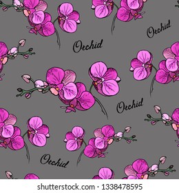 Pink orchid  illustration pattern