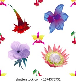 Pink Orchid. Red Angel Trumpet. Red Hibiscus. Violet Anemone. Pink Protea. Vector illustration. Seamless background pattern. Floral botanical flower. Wild leaf wildflower isolated. Exotic tropical.