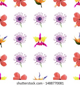 Pink Orchid. Red Hibiscus. Orange Strelitzia. Purple Osteospermum Daisybush. Vector illustration. Seamless background pattern. Floral botanical flower. Wild leaf wildflower isolated. Exotic tropical.