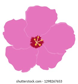 Pink Orchid vector flower isolated on white background