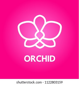 Pink orchid vectorillustration