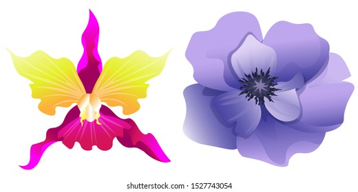 Pink Orchid. Violet Anemone. Vector illustration. Isolated illustration element. Floral botanical flower. Wild leaf wildflower isolated. Exotic tropical hawaiian jungle.