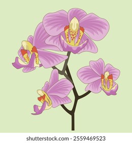 Pink Orchids Blossoming on a Delicate Green Background. Vivid illustration of pink orchids flourishing with elegance and serenity against a soft green backdrop.