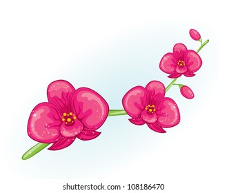 	Pink orchids flowers branch, vector