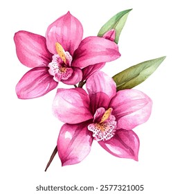 pink orchids in full bloom, showcasing delicate petals and vibrant colors. Perfect for floral designs, nature-themed projects, and elegant decor.