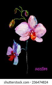Pink orchids on black. Vector.