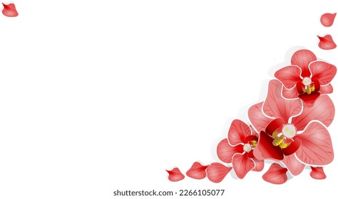 Pink orchids on a pastel pink background as festive for March 8