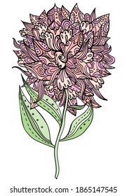 Pink ornate flower with a face. Fairytale floral princess, goddess. Tribal boho tattoo. Vector coloring page. Woman's face surrounded by flower petals and ornaments.