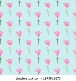 Pink outline crocus flower silhouettes seamless botanic nature pattern. Light background. Summer print. Vector illustration for seasonal textile prints, fabric, banners, backdrops and wallpapers.
