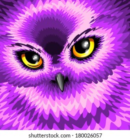 Pink Owl Eyes