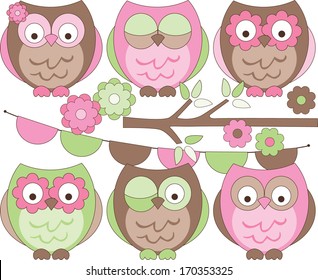 Pink Owls