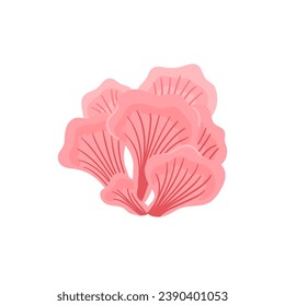 Pink oyster mushroom. Edible and delicious fungus. Vector cartoon illustration with texture isolated on the white background.