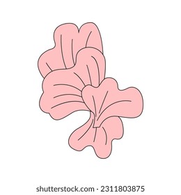 Pink oyster mushroom on isolated background. Vector flat illustration. Algae plant. 