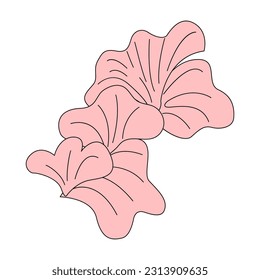 Pink oyster mushroom on isolated background. Vector flat illustration. Algae plant. 