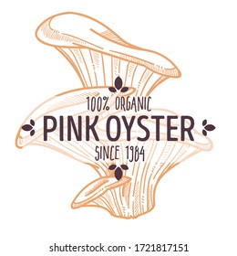 Pink oyster type of mushrooms, sketch of edible Pleurotus djamor, family Pleurotaceae. Emblem for products or restaurant menu with ingredients. Organic meal and tasty food, vector in flat style