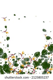 Pink Palm Background White Vector. Flora Rainforest Illustration. Light Green Philodendron. Safari Card. Red Beach Backdrop.