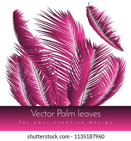 Pink Palm Leaves. Exotic Plants of Coconut. Trendy Branches Set. Vector Tropical Foliage. Botanical Illustration of Jungle Leaf. Pink Palm Leaves for Pattern, Print, Fabric, Textile or Trendy Design