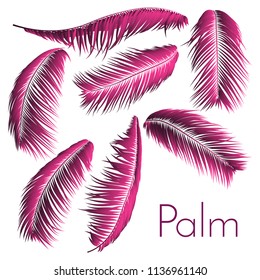 Pink Palm Leaves. Exotic Plants of Coconut. Trendy Branches Set. Vector Tropical Foliage. Botanical Illustration of Jungle Leaf. Pink Palm Leaves for Pattern, Print, Fabric, Textile or Trendy Design