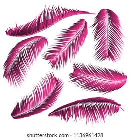Pink Palm Leaves. Exotic Plants of Coconut. Trendy Branches Set. Vector Tropical Foliage. Botanical Illustration of Jungle Leaf. Pink Palm Leaves for Pattern, Print, Fabric, Textile or Trendy Design