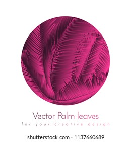Pink Palm Leaves. Exotic Plants of Coconut. Trendy Branches Set. Vector Tropical Foliage. Botanical Illustration of Jungle Leaf. Pink Palm Leaves for Pattern, Print, Fabric, Textile or Trendy Design
