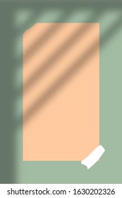 
The pink paper on the green wall during the day with the sun showing in. Design space and copy space.
