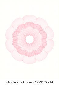 Pink passport money rossete