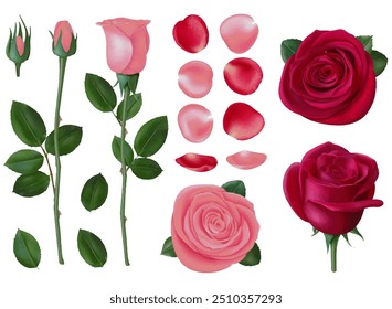 rosafarbene Pastelltöpfe Valentine Rosenblätter Knospe Romantik Rote Rose Vektor Set