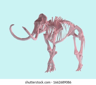 Pink Pastel Woolly Mammoth Skeleton on Isolated Blue Background. Low Poly Vector 3D Rendering