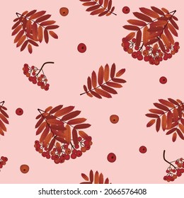 Pink pattern of ripe rowan berries and bright foliage
