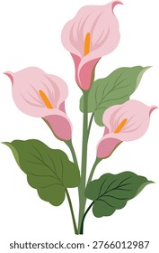 pink peace lily flower flat style