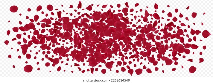 Pink Peach Beauty Vector Panoramic Transparent Background. Japanese Blossom Frame. Beautiful Cherry Fall Texture. Red Sakura Flying Wallpaper.