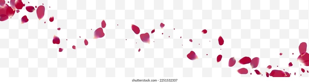 Pink Peach Beauty Vector Transparent Panoramic Background. Summer Sakura Backdrop. Delicate Floral Spring Wallpaper. Beautiful Petal Blur Design.