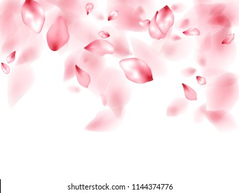 Pink peach flower flying petals isolated on white. Natural floral background. Japanese sakura petals spring confetti, blossom elements flying. Falling cherry blooming flower parts vector.