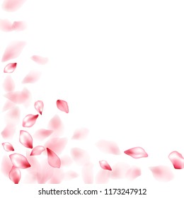 Pink peach flower flying petals isolated on white. Romantic beauty salon background. Japanese sakura petals springtime confetti, blossom elements flying. Falling cherry blossom flower parts vector.