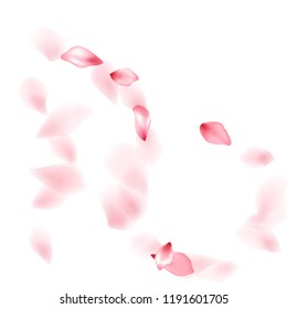 Pink peach flower flying petals isolated on white. Magic beauty salon background. Japanese sakura petals spring confetti, blossom elements flying. Falling cherry bloom flower parts vector.