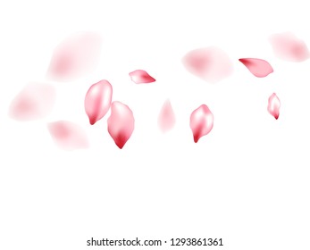 Pink peach flower flying petals isolated on white. Realistic beauty salon background. Japanese sakura petals seasonal confetti, blossom elements flying. Falling cherry blooming flower parts design.