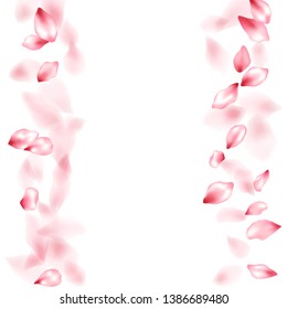 Pink peach flower flying petals isolated on white. Blowing floral background. Japanese sakura petals springtime confetti, blossom elements flying. Falling cherry blooming flower parts vector.