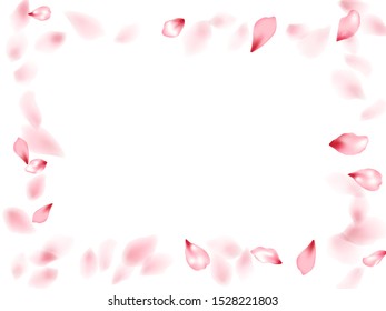 Pink peach flower flying petals isolated on white. Tender floral background. Japanese sakura petals springtime confetti, blossom elements flying. Falling cherry blossom flower parts design.