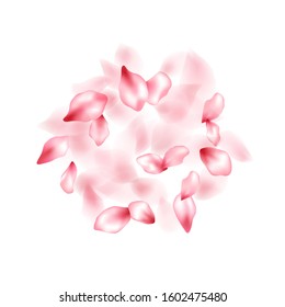 Pink peach flower flying petals isolated on white. Abstract floral background. Japanese sakura petals springtime confetti, blossom elements flying. Falling cherry blooming flower parts vector.