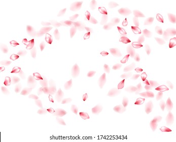 Pink peach flower flying petals isolated on white. Chaotic beauty salon background. Japanese sakura petals seasonal confetti, blossom elements flying. Falling cherry blossom flower parts vector.