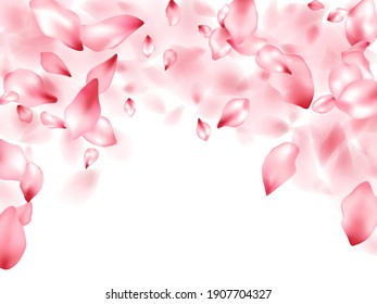 Pink peach flower flying petals isolated on white. Light beauty salon background. Japanese sakura petals spring confetti, blossom elements flying. Falling cherry blossom flower parts design.