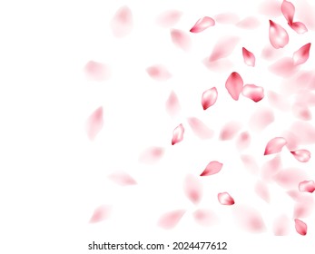 Pink peach flower flying petals isolated on white. Idyllic floral background. Japanese sakura petals seasonal confetti, blossom elements flying. Falling cherry bloom flower parts design.